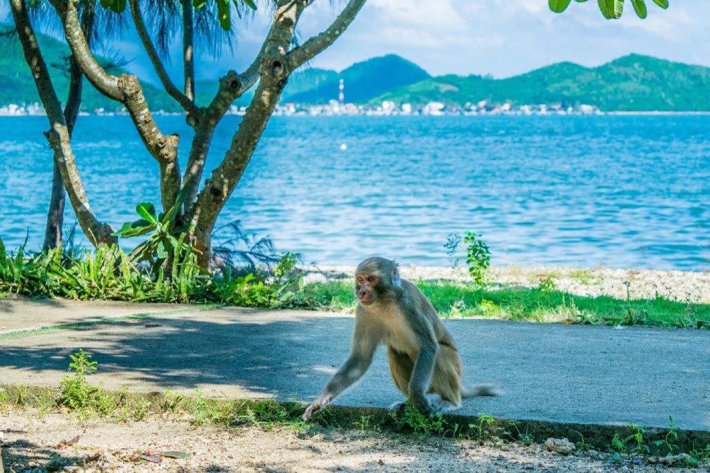 Truong Hotel Nha Trang Eksteriør billede